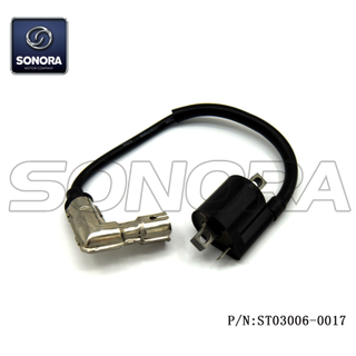 Wangye 2-stroke WY50QT-16A Ignition Coil (P/N:ST03006-0017) Top Quality