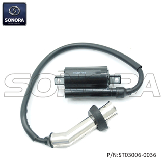 COIL ASSY IGNITION for lexmoto aspire 125 NKD125-F20-10003 （P/N:ST03006-0036）top quality 