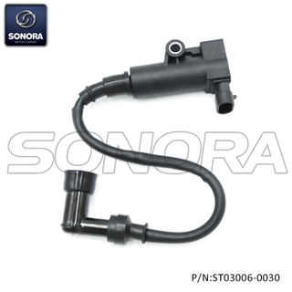 Ignition coil for Delphi system (P/N:ST03006-0030） Top Quality