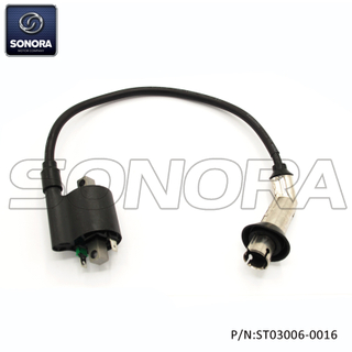 EURO 4 Ignition Coil (P/N:ST03006-0016) Top Quality